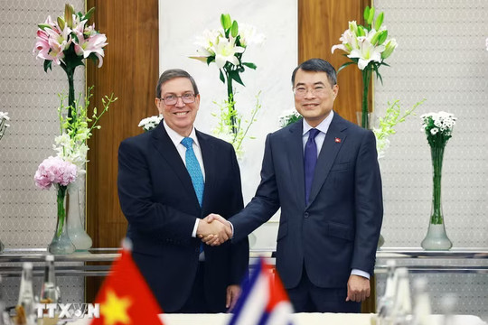 Thủ tướng Chính phủ Lê Minh Hưng tiếp Bộ trưởng Ngoại giao Cuba