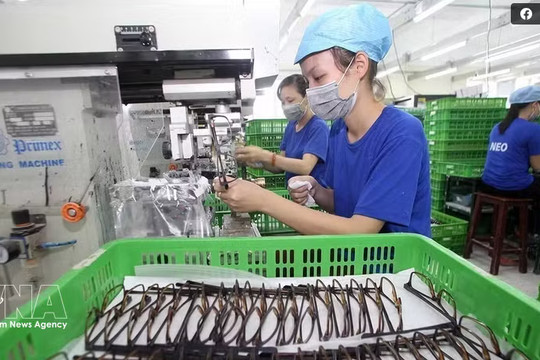 Vietnam-France political trust should be translated into concrete cooperation: former diplomat