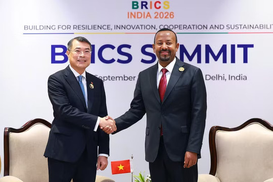 Thủ tướng Lê Minh Hưng gặp Thủ tướng Ethiopia Abiy Ahmed Ali