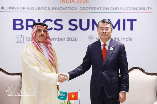 Vietnam seeks effective, substantive ties with Saudi Arabia