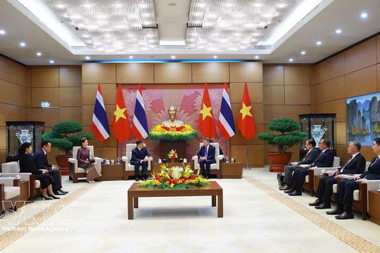 Vietnam, Thailand have ample room to complement and develop together: PM