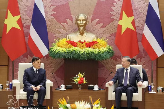 Vietnam attaches great importance to comprehensive cooperation with Thailand: Top leader