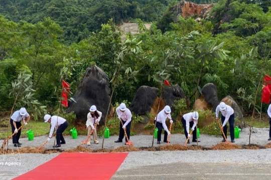 Cao Bang develops organic farming zones linked to European markets