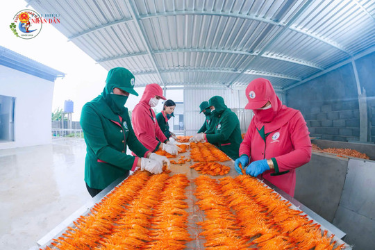 Cà Mau khơi thông nguồn lực, thúc đẩy phát triển kinh tế tư nhân