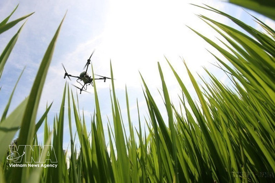 Greening agriculture through low-emission crop production