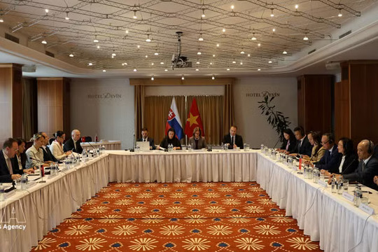 Vietnam-Slovakia intergovernmental committee on economic cooperation holds 3rd meeting