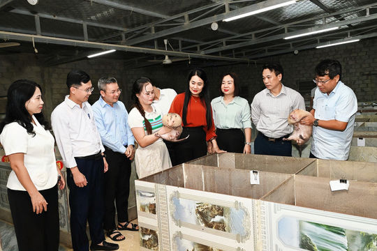 Gỡ điểm nghẽn thể chế, đưa chính sách nông nghiệp về sát cơ sở
