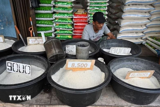 Indonesia investigates 25 fortified rice brands that failed to meet nutritional requirements