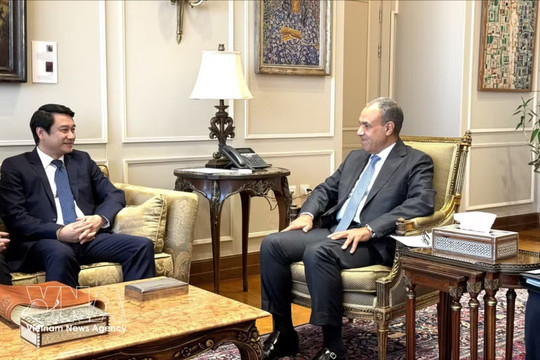Vietnamese deputy foreign minister visits Egypt to enhance mutlifaceted ties