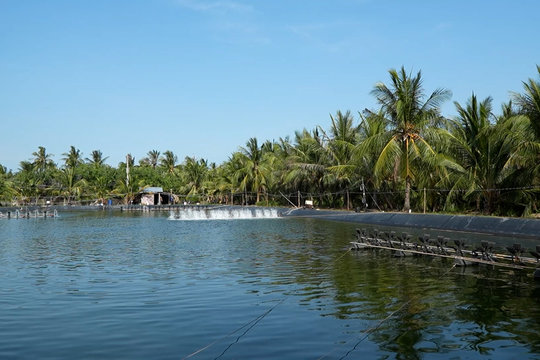 Đổi mới để bảo hiểm đến gần hơn với người dân