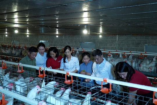 Chi trả để phục hồi, không chỉ để bù đắp