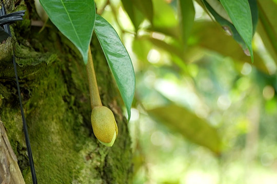 Để cuộc sống tiếp tục
