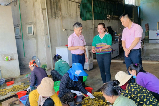 Vùng đồng bằng Yên Thành đổi thay nhờ nguồn vốn tín dụng chính sách