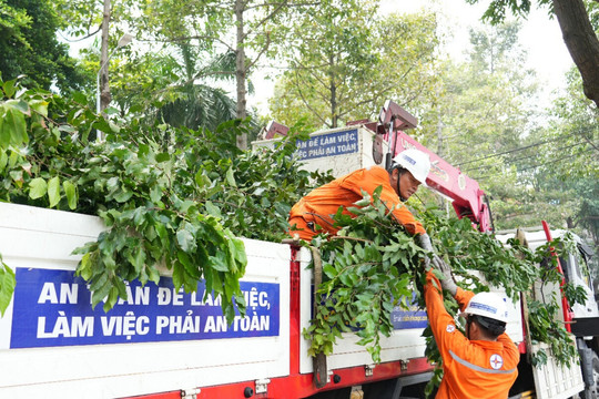 EVNHCMC sẵn sàng các phương án bảo đảm an toàn điện mùa mưa bão