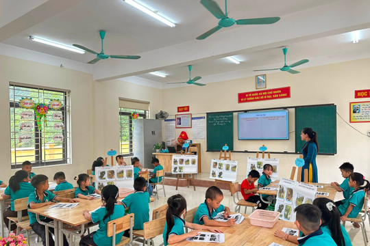 Thái Nguyên: Tinh gọn mạng lưới trường học, đổi mới quản trị để nâng chất lượng