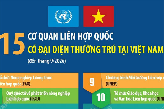 15 cơ quan Liên Hợp Quốc có đại diện thường trú tại Việt Nam