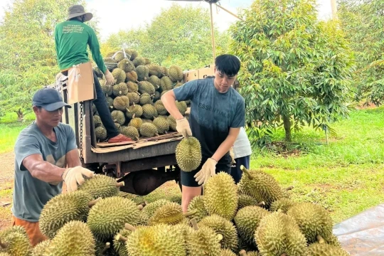 Thị trường xuất khẩu lớn siết tiêu chuẩn nông sản