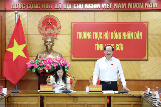 Nâng cao hiệu quả quy hoạch phát triển không gian xanh đô thị