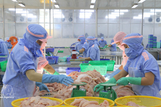 Vietnamese goods gain wider access to EU market