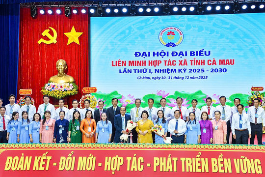 Hợp tác xã Cà Mau: Từ liên kết sản xuất đến nâng tầm giá trị sản phẩm