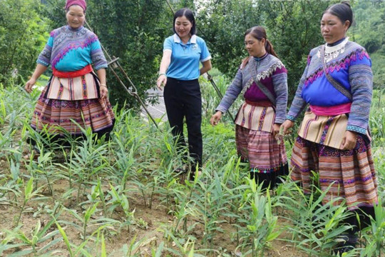 Chính sách dân tộc tạo sức bật cho vùng cao Lào Cai