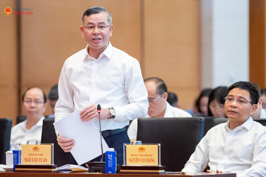Cân nhắc việc bổ sung chứng chỉ kinh doanh dịch vụ kế toán