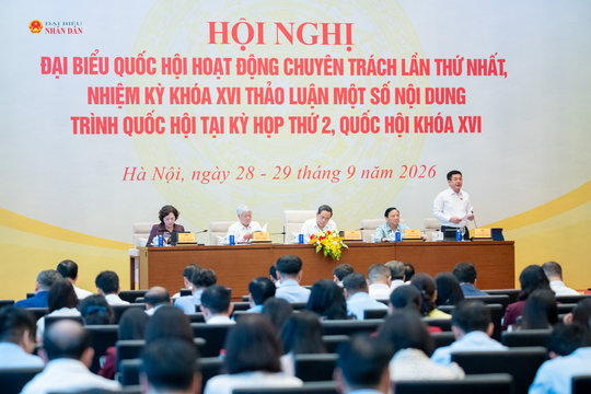 Phân loại rác phải đi cùng hạ tầng thu gom, xử lý
