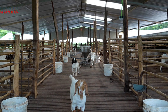 TP. Đồng Nai: Tiếp sức vùng biên phát triển kinh tế