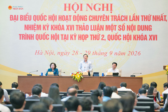 Phân biệt rõ mức trần và mức phạt cụ thể trong từng vụ việc