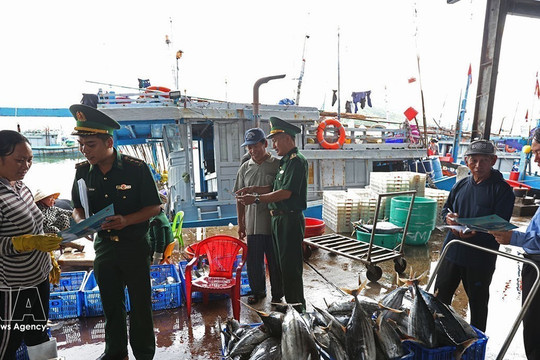 Khanh Hoa mobilises resources to address IUU fishing