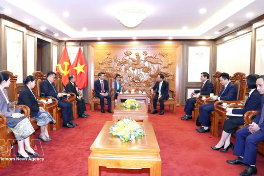Vietnamese, Laos Party bodies step up coordination in combating misinformation in digital environment