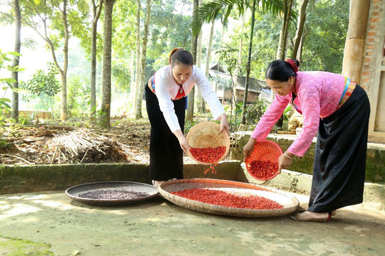 Hiệu quả tín dụng chính sách nhìn từ vùng cao Lạc Sơn