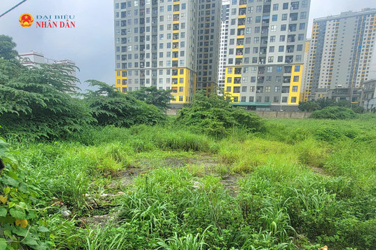 TP. Hồ Chí Minh: Giá khởi điểm cho thuê ngắn hạn 10 khu đất
