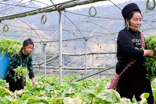 Lào Cai nâng chất lượng thụ hưởng của đồng bào dân tộc thiểu số