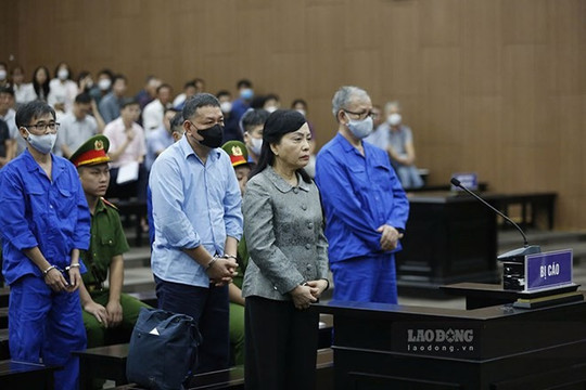 Former Health Minister Nguyen Thi Kim Tien seeks to pay more to remedy losses