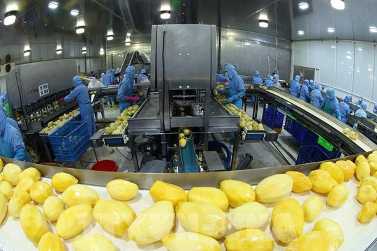 Vietnam’s agro-forestry-fishery exports rise 7.8% in nine months