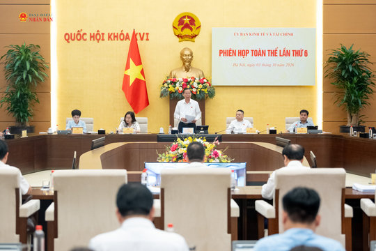 Phân định rõ nội dung áp dụng theo từng luật