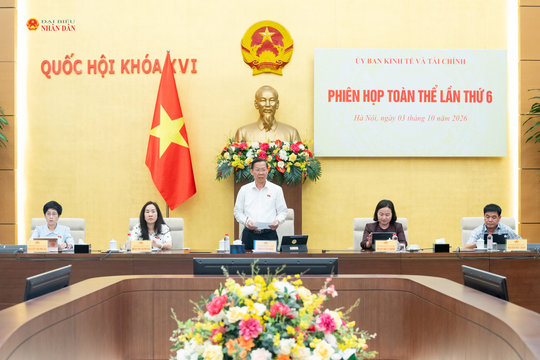 Hoàn thiện chính sách theo hướng thực chất, thúc đẩy doanh nghiệp phát triển