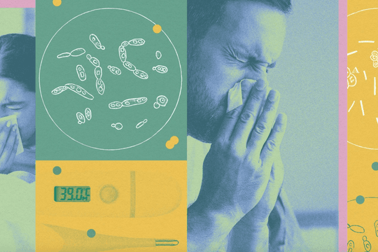 Mùa thu, 5 loại virus dễ gia tăng và cách tự bảo vệ