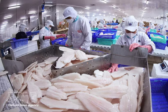 Vietnam, Canada unlock new cooperation opportunities