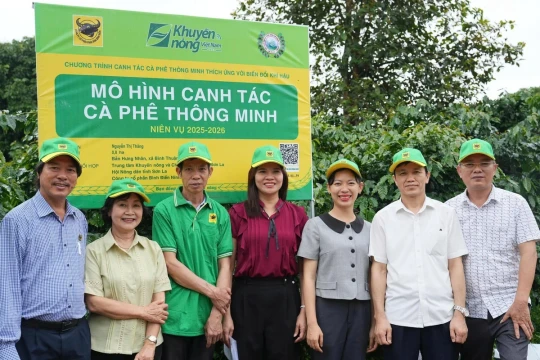 Canh tác cà phê trên đất dốc Sơn La: Giữ phân lại cho cây, trả độ phì cho đất