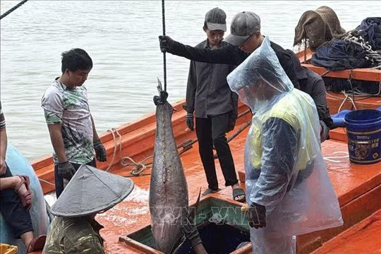 Dak Lak fishermen enhance preparedness for rough-sea fishing, IUU fishing combat