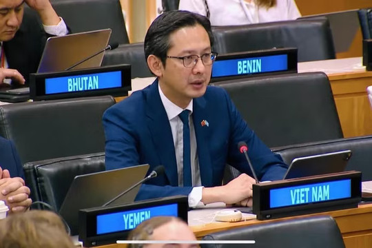 Vietnam calls for stronger int'l cooperation to drive sustainable development