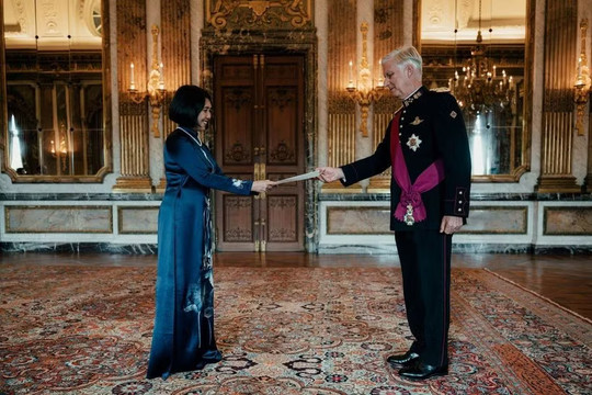 Vietnam, Belgium seek to expand cooperation after over 50 years of friendship