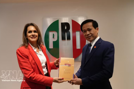 Vietnam promotes Party diplomacy at international conference in Mexico