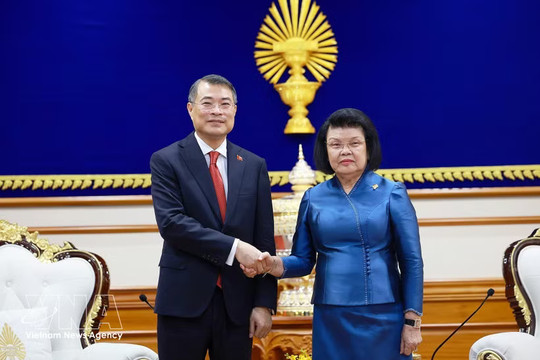 Vietnamese Prime Minister meets Cambodian National Assembly President