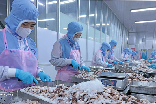 Fisheries sector strives for 12 billion USD in exports amid rising costs