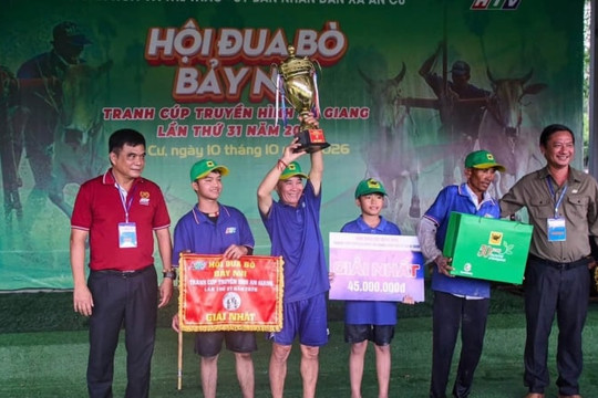 Bình Điền và 5 năm nối dài sức sống di sản Đua bò Bảy Núi