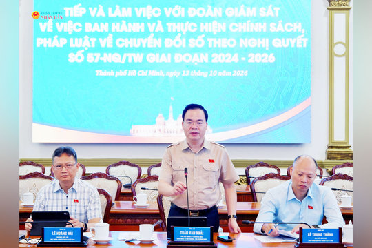TP. Hồ Chí Minh cần xây dựng thước đo đánh giá hiệu quả dịch vụ số