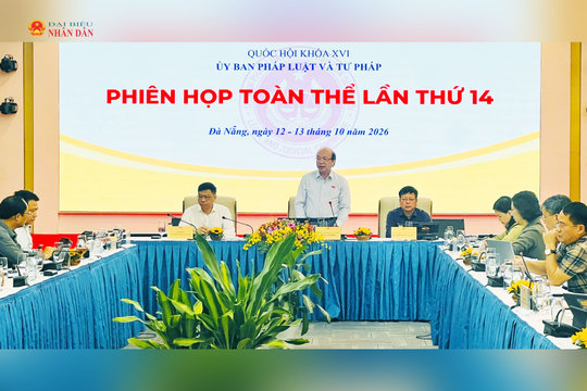 Phân cấp quản lý sở hữu trí tuệ cần phù hợp với năng lực địa phương